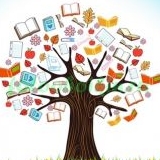 Школа современного библиотекаря